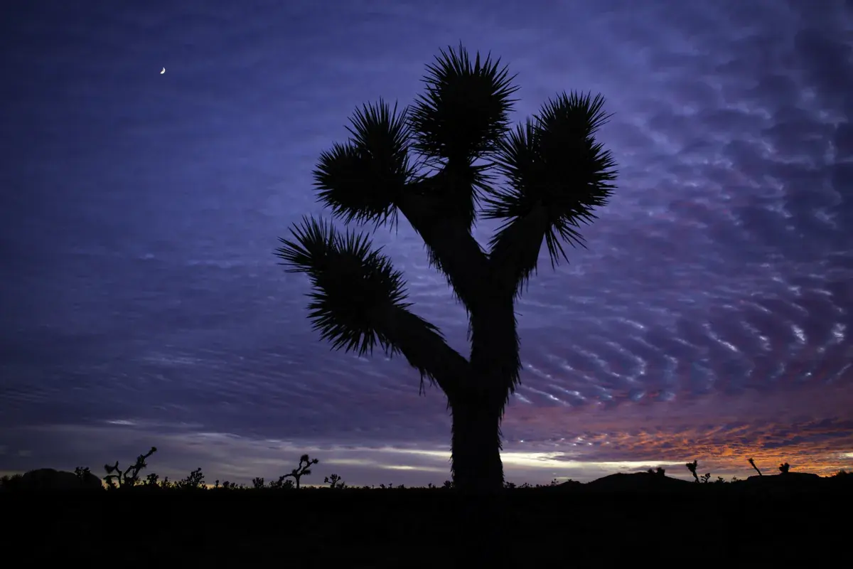 Your Big Three in Astrology: Sun, Moon, and Rising Sign Explained