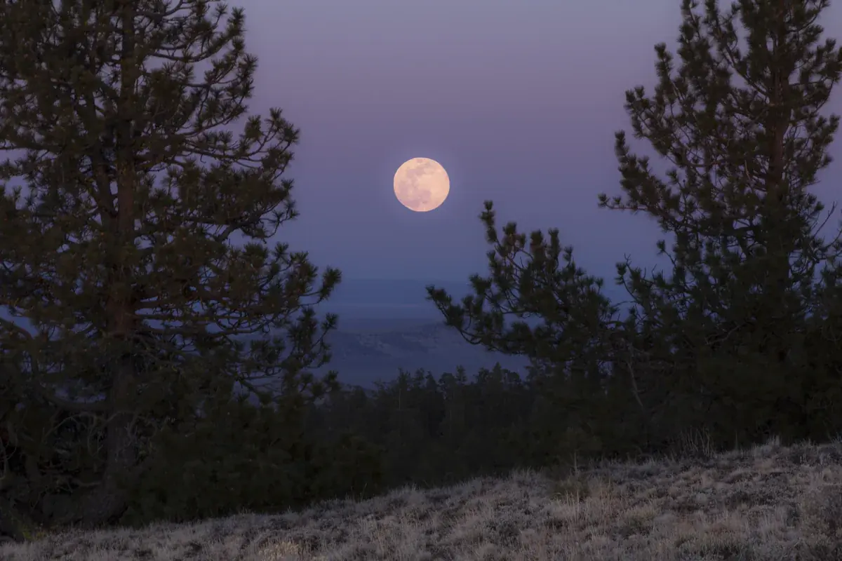 Full Moon Astrology: What Each Full Moon Means and How to Work With Lunar Cycles