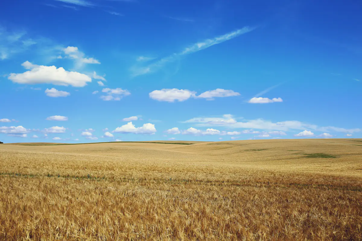 Jupiter and Wealth: How the Planet of Expansion Shapes Your Financial Destiny