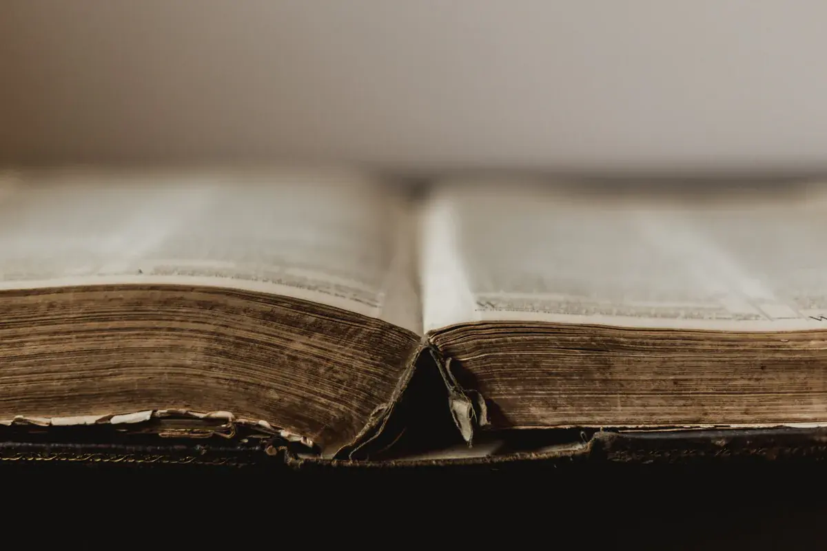 Astrology Glossary: 50 Essential Terms Every Beginner Needs to Know