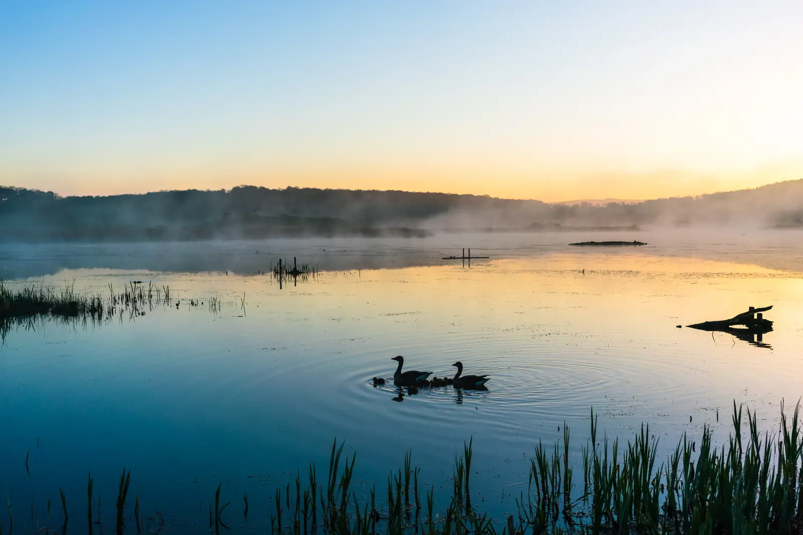 A misty lake at dawn, gold sky fading to blue
