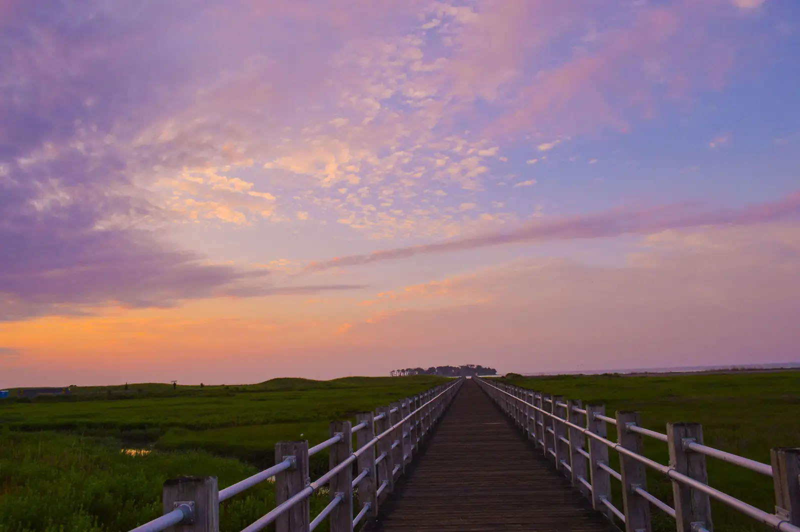 A boardwalk across a marsh under a bright purple sky