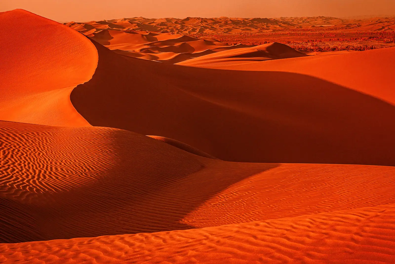 Red-orange desert dunes rippled by the wind