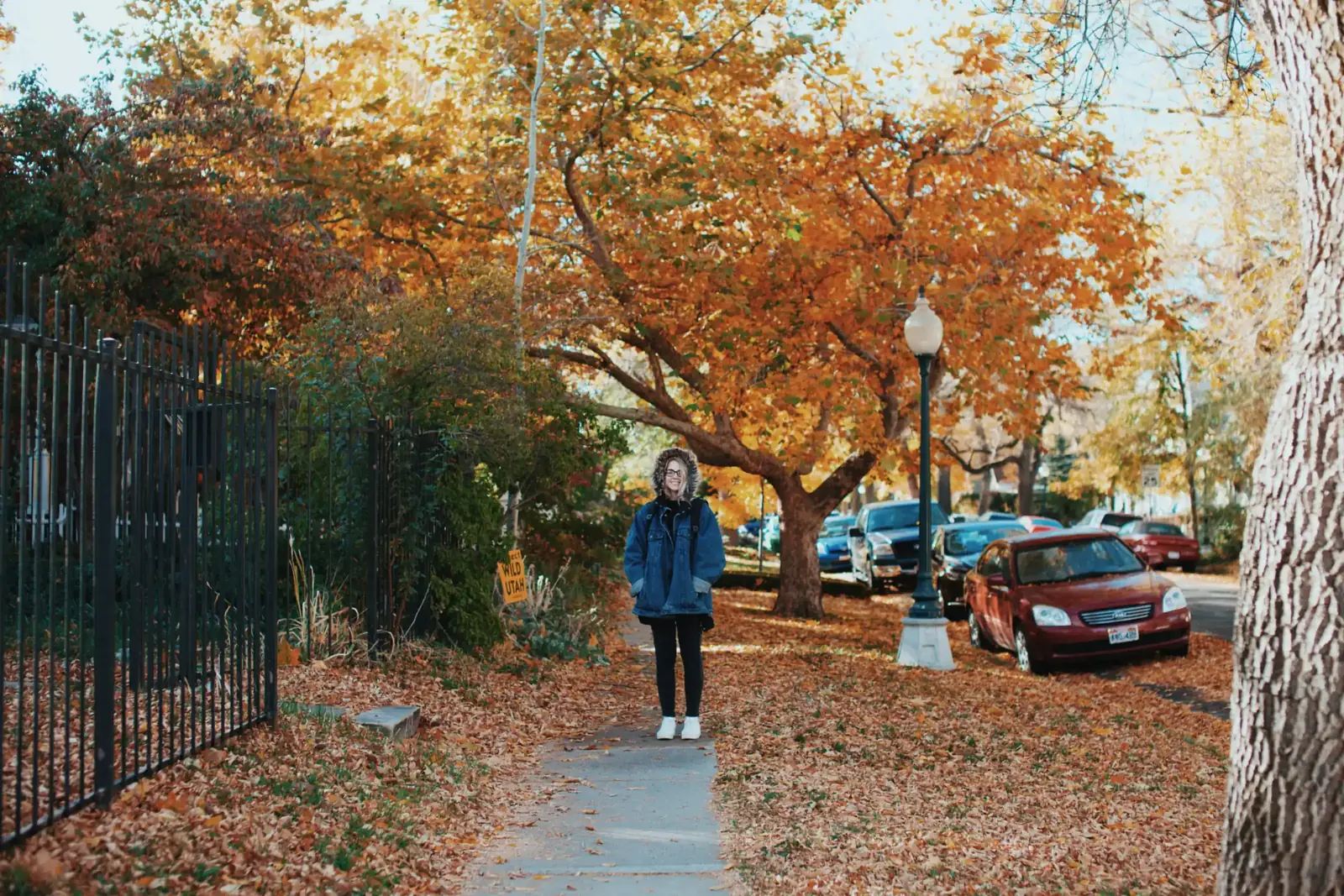 A woman in a blue jacket walks a leaf-covered sidewalk under orange autumn trees