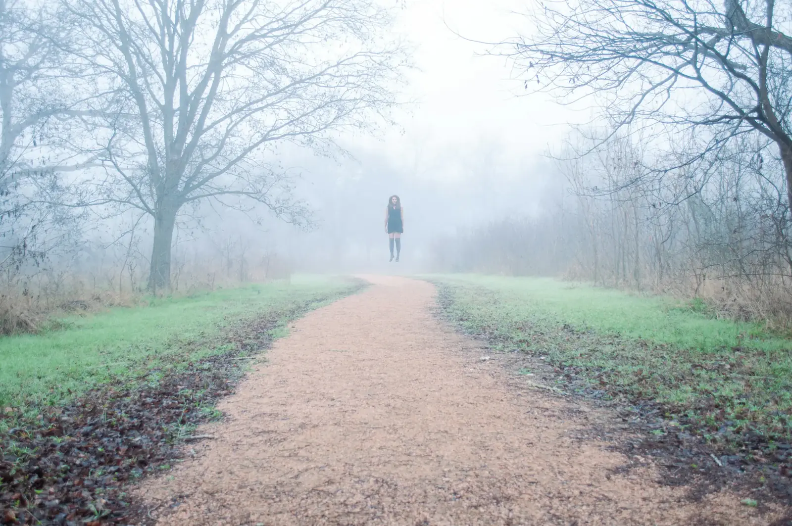 A dirt path leads through a misty field between bare trees
