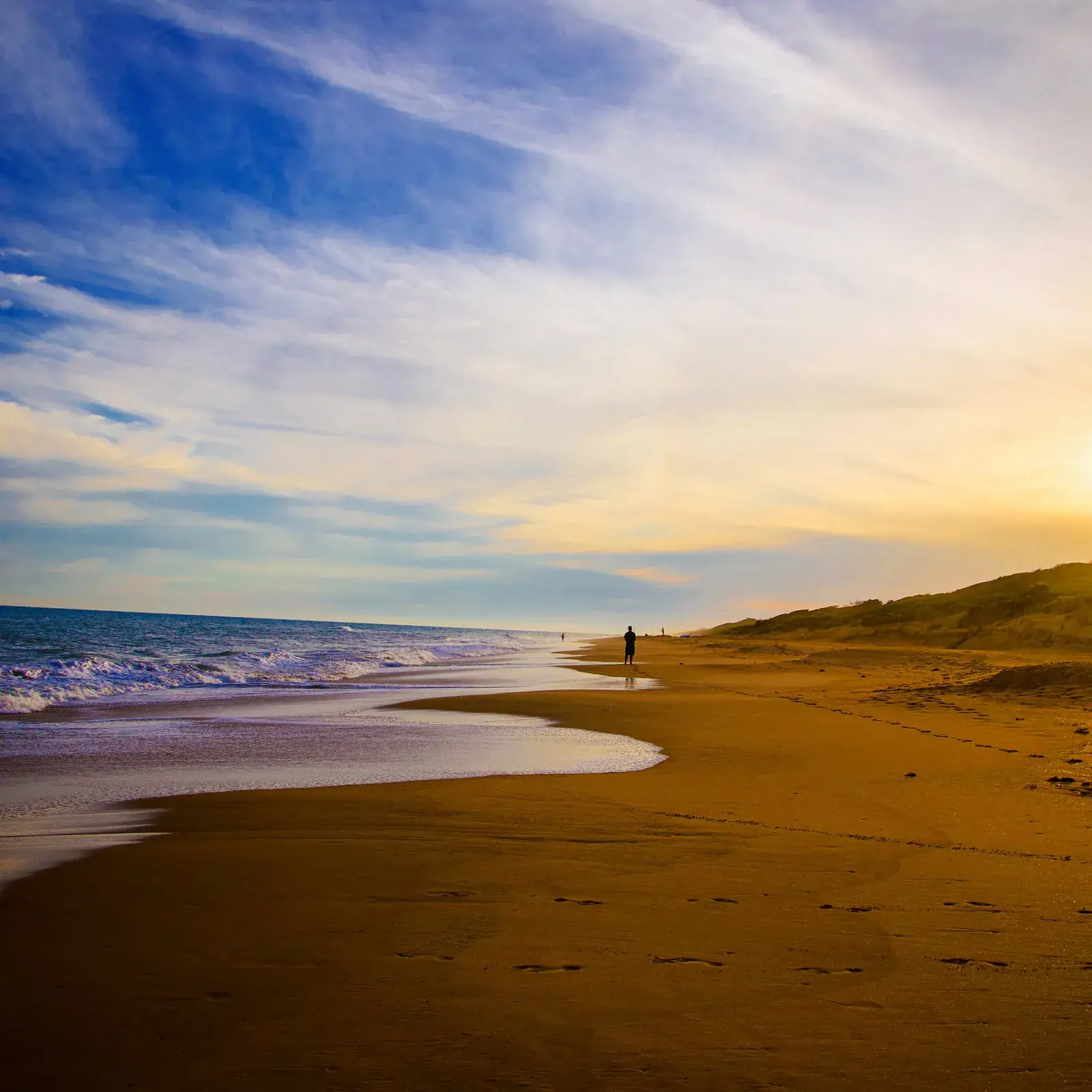 A golden beach under sweeping white clouds