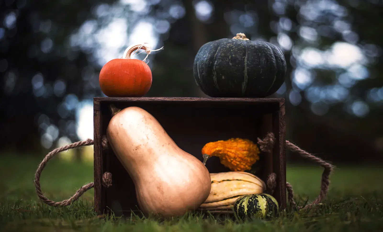 Pumpkins and squash on an old wooden crate