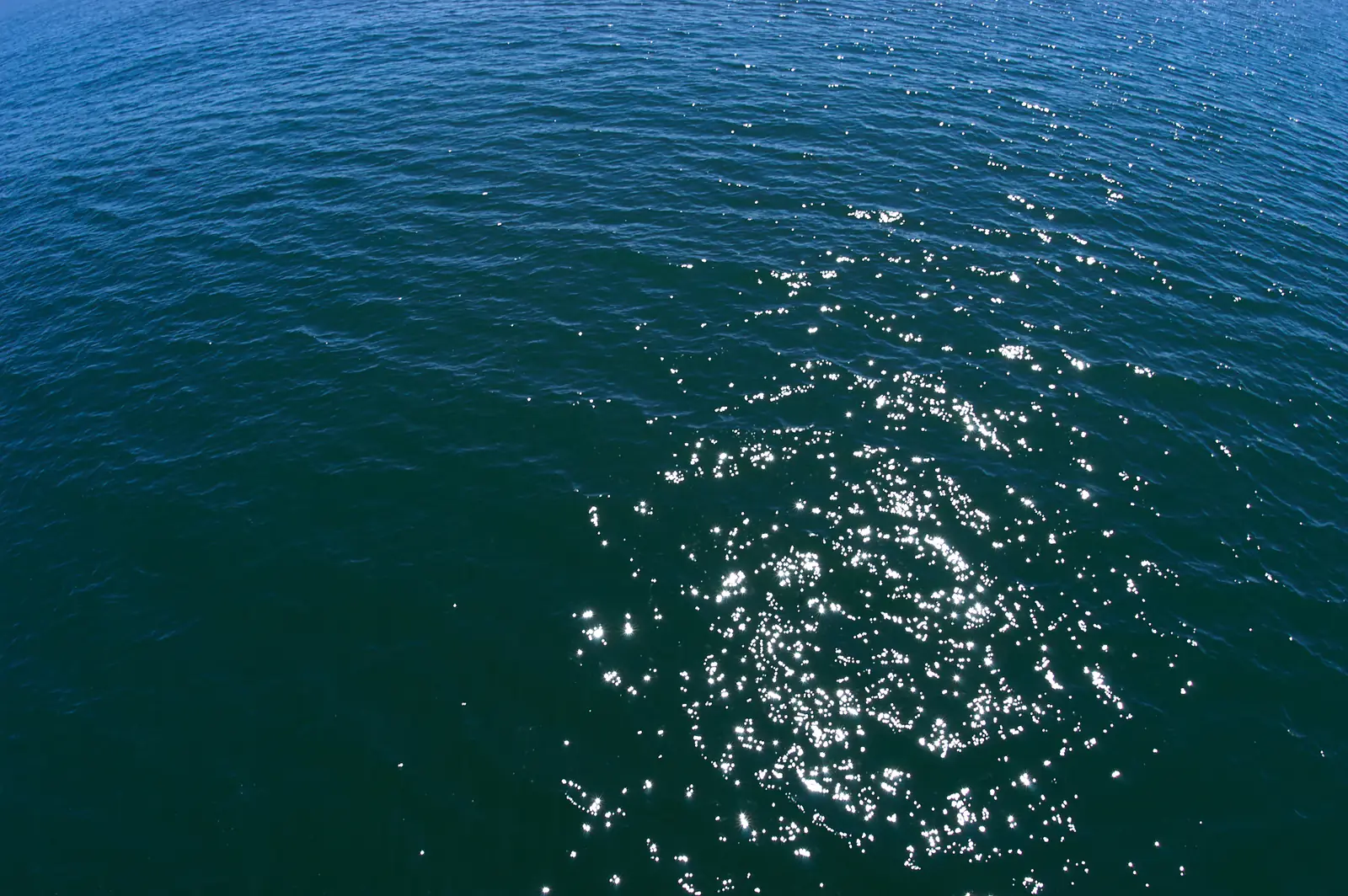Deep blue-green ocean glittering in the sun, seen from above
