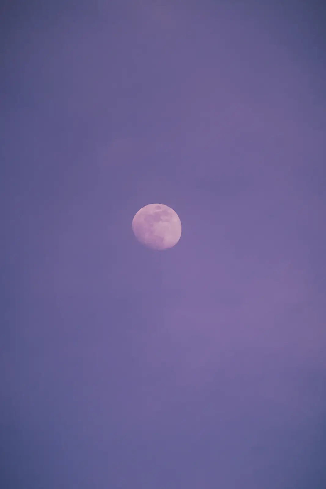 A white Moon in a purple night sky