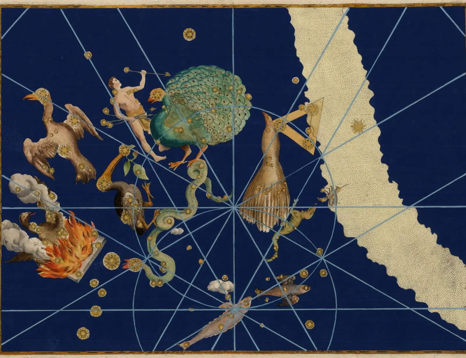 Johann Bayer's 1603 Uranometria plate of the southern birds: the new southern constellations on a deep blue sky, the stars heightened in gold
