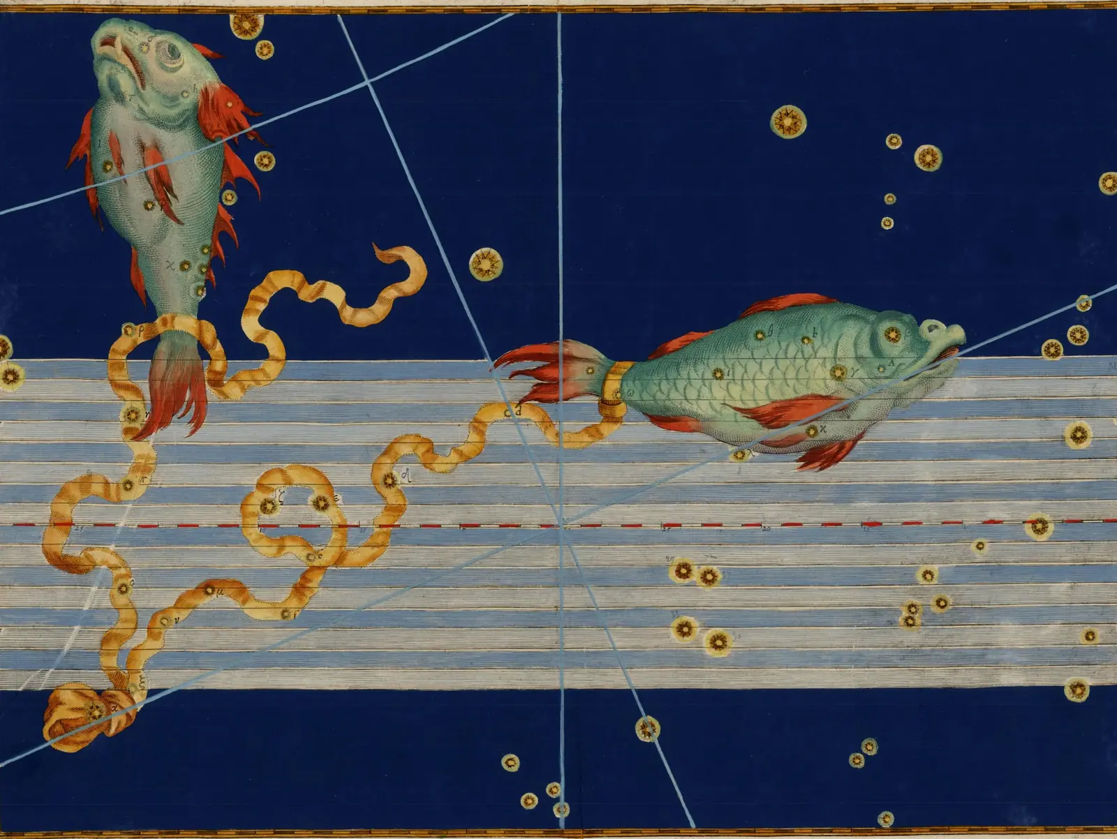 Johann Bayer's 1603 Uranometria plate of Pisces: two fish joined by a ribbon engraved on a deep blue sky, the stars heightened in gold