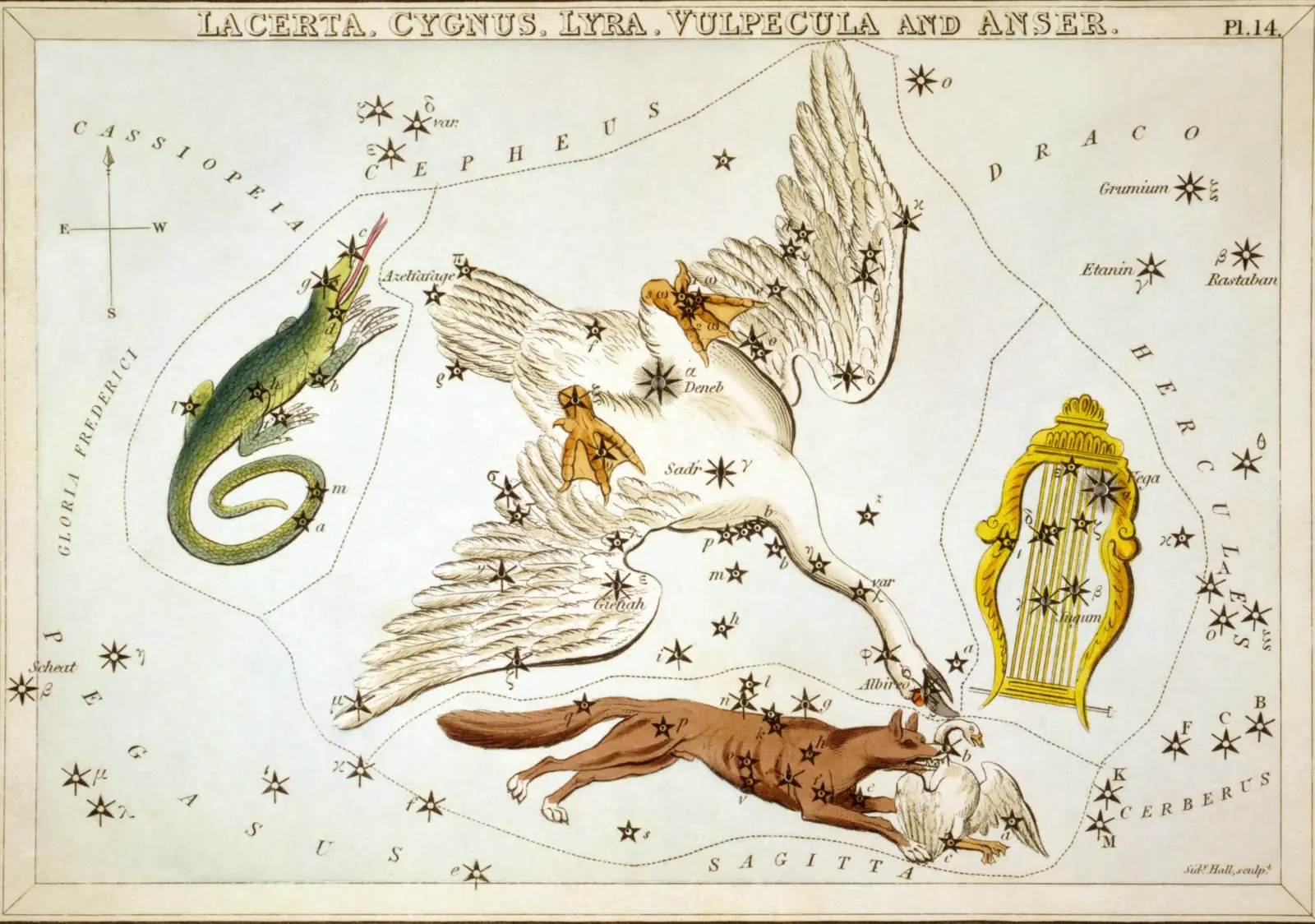 Hand-coloured 1824 star-chart card of Lacerta, Cygnus, Lyra and Vulpecula from Urania's Mirror, drawn as a swan in flight above a lyre, a fox and a lizard