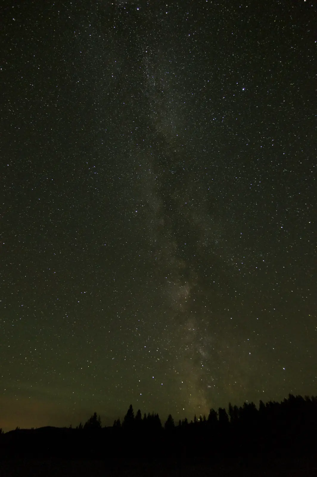 The Milky Way rising straight up from a forest edge