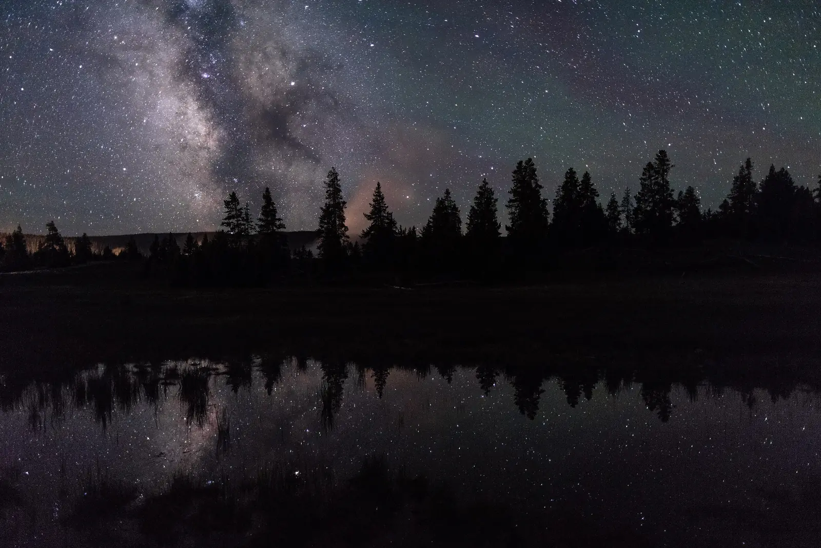 The Milky Way reflected in a rain pool among the pines