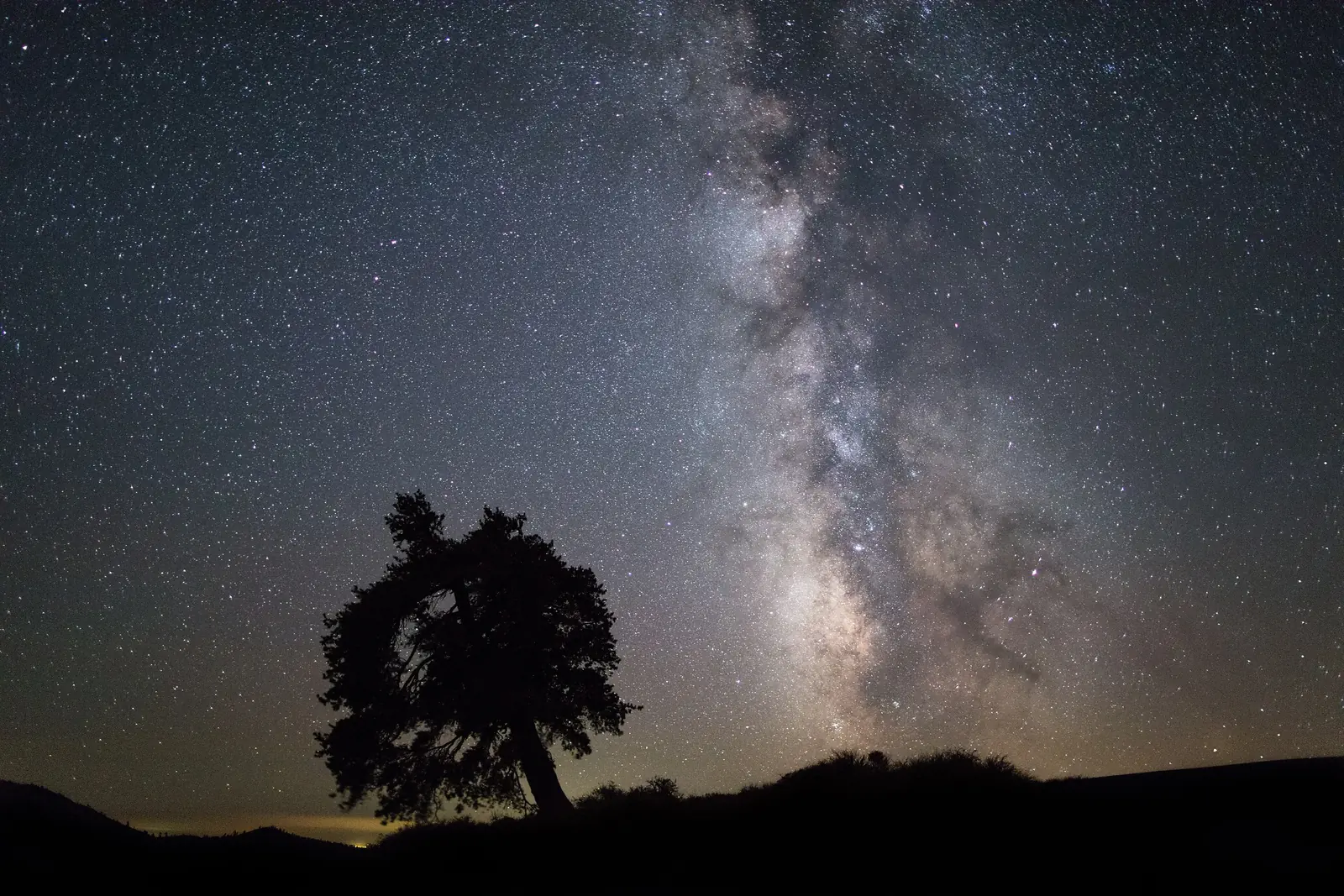 A lone tree silhouetted beneath the Milky Way