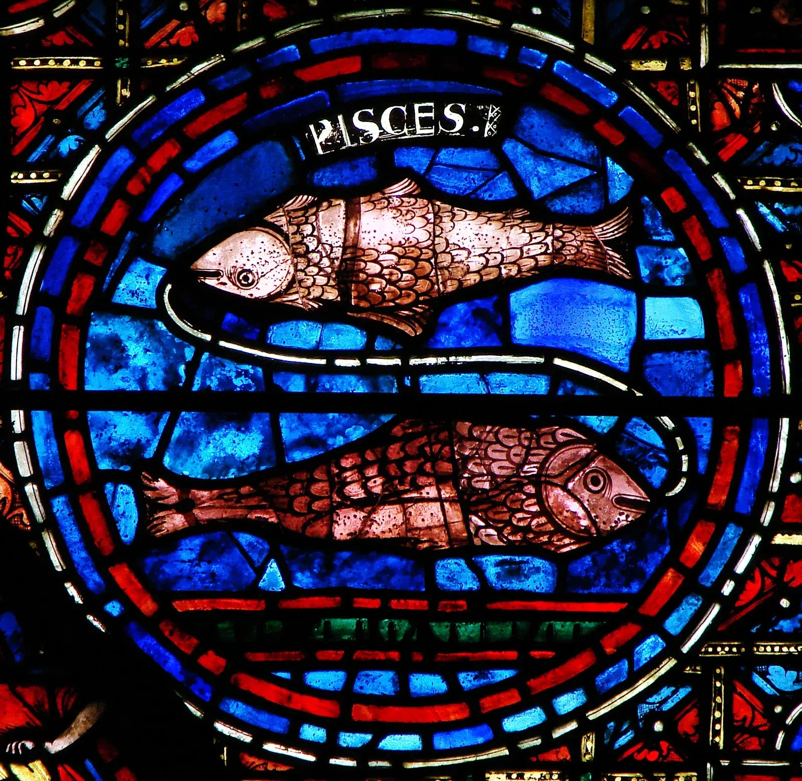 Stained-glass roundel of two fish swimming in opposite directions, joined by a cord, labelled PISCES