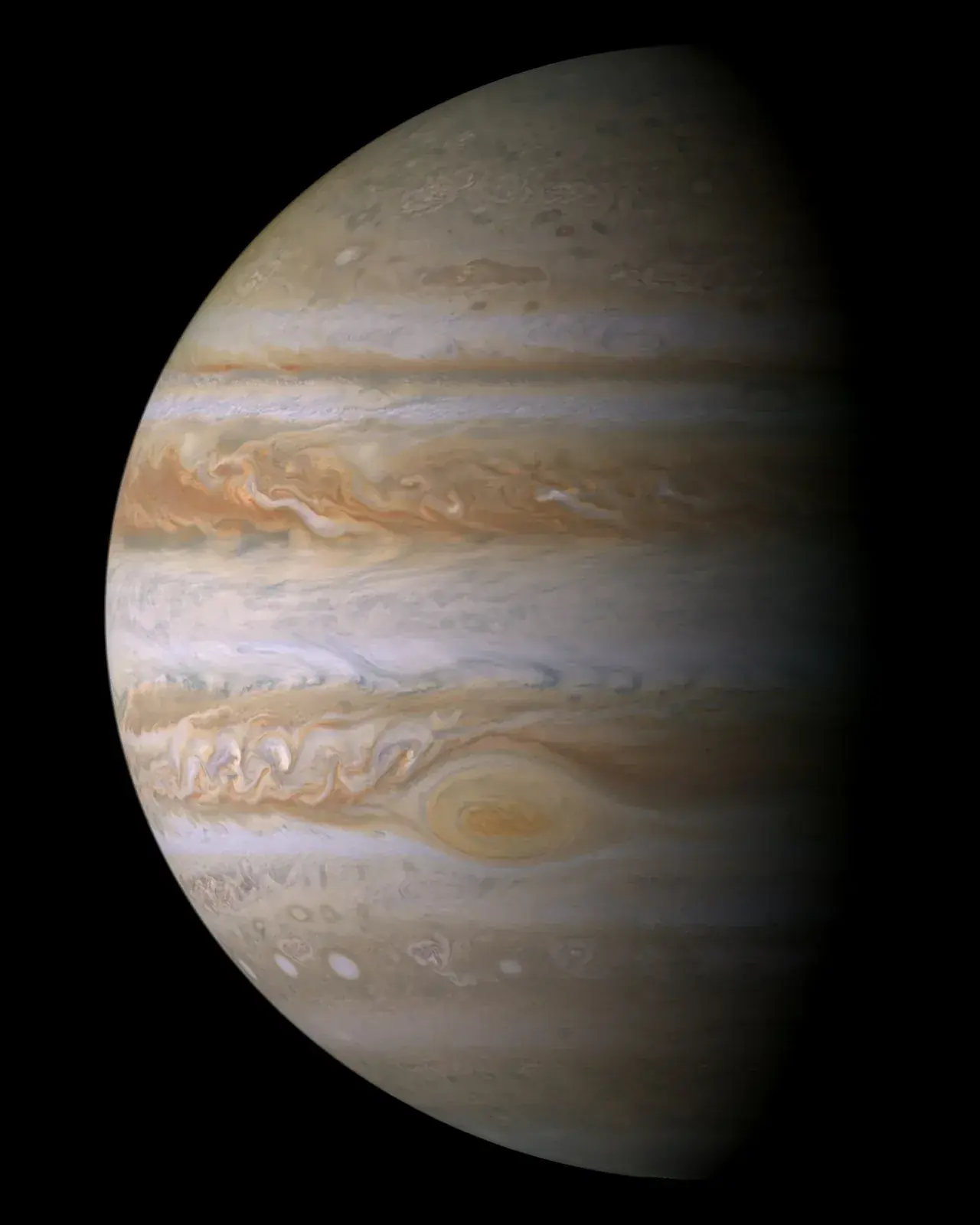 Jupiter in true colour, half lit, showing cream and brown cloud bands and the Great Red Spot in the lower half