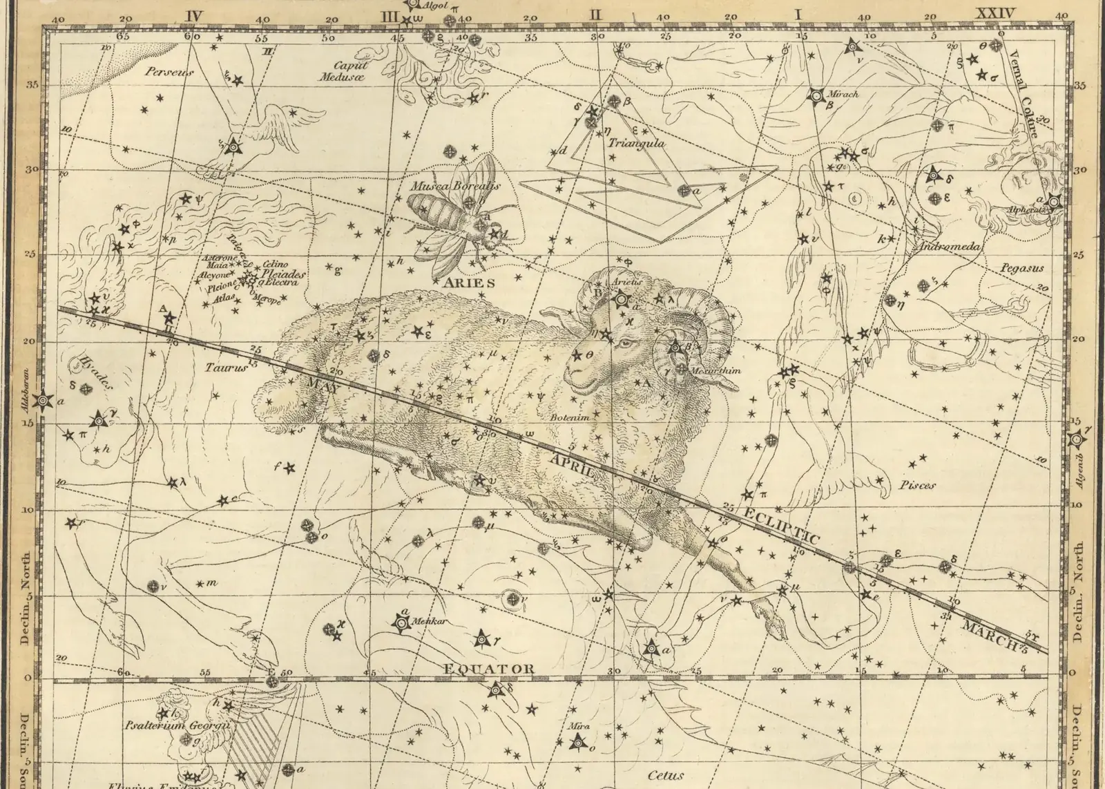 Alexander Jamieson's 1822 hand-coloured star map of Aries, the constellation drawn as a resting ram over a grid of stars