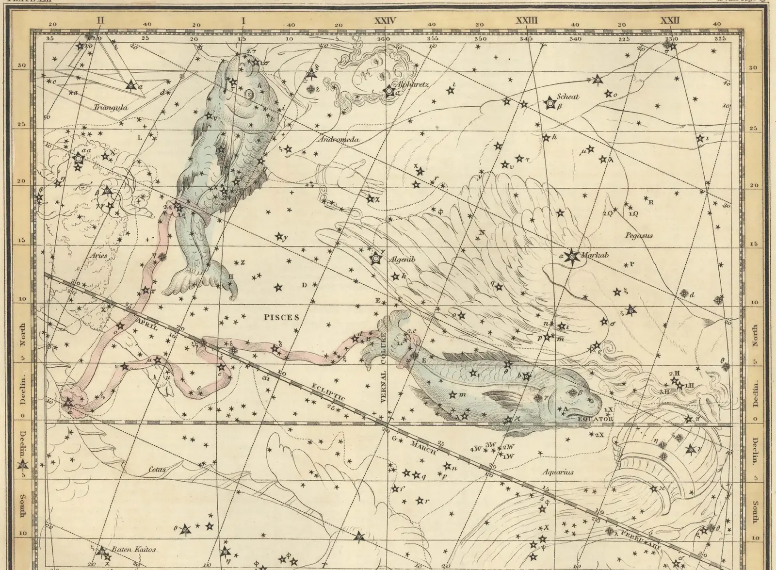 Alexander Jamieson's 1822 hand-coloured star map of Pisces, the constellation drawn as two fish joined by a ribbon over a grid of stars