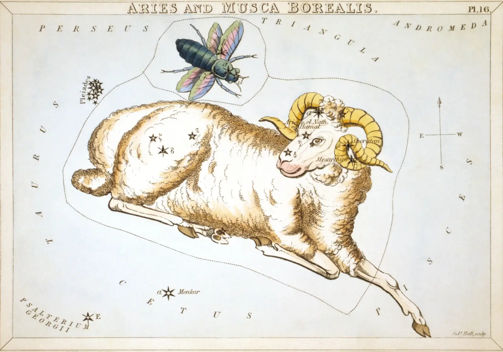 Hand-coloured 1824 star-chart card of Aries from Urania's Mirror, the constellation drawn as a resting ram with its stars pierced through the card