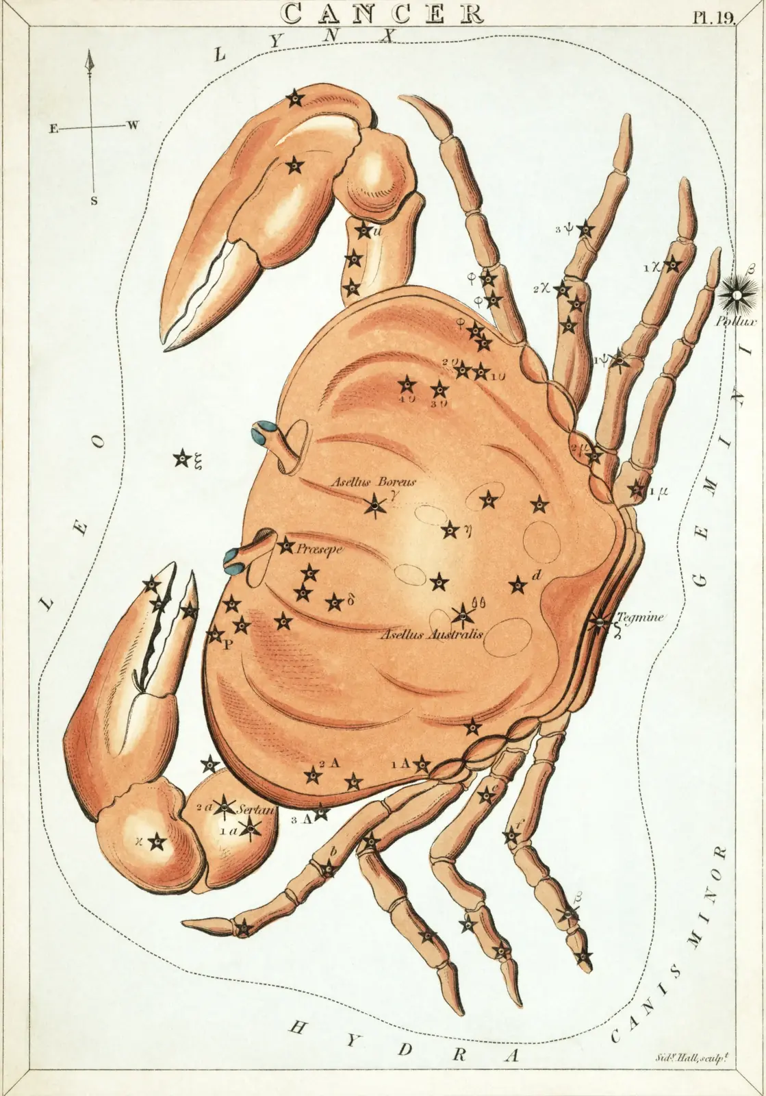 Hand-coloured 1824 star-chart card of Cancer from Urania's Mirror, the constellation drawn as a crab with its stars pierced through the card