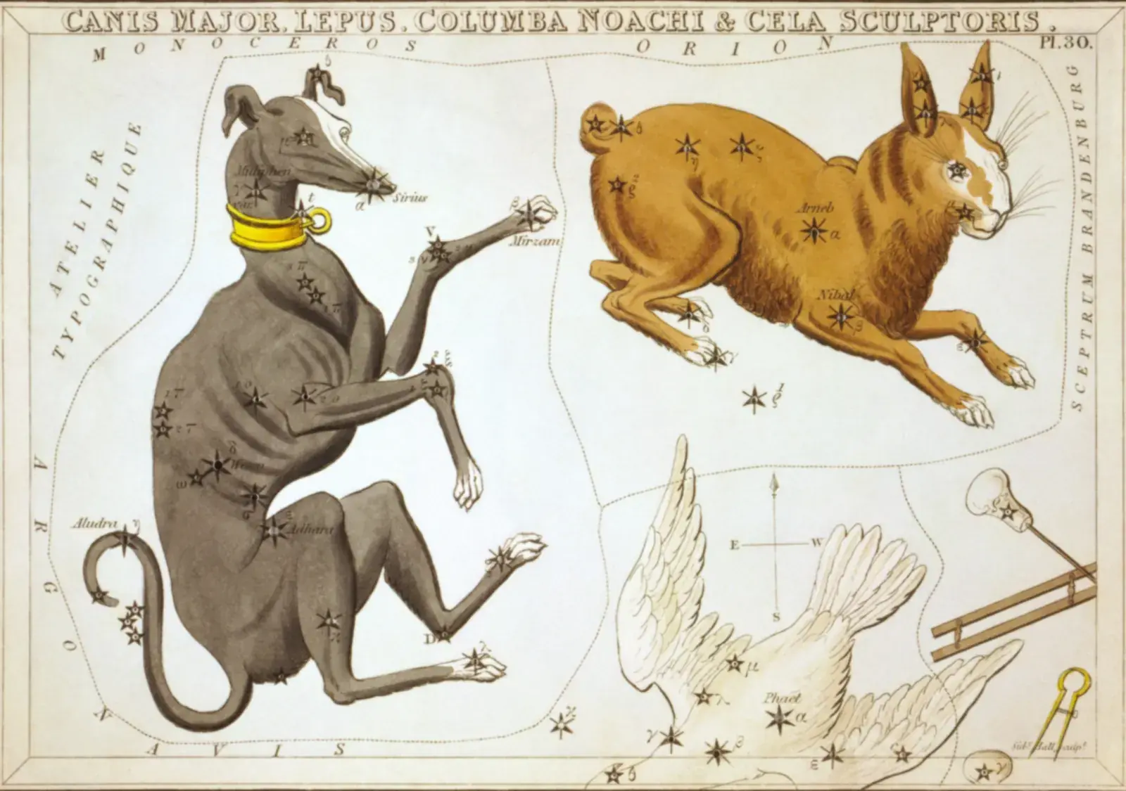 Hand-coloured 1824 star-chart card of Canis Major, Lepus and Columba from Urania's Mirror, drawn as the great dog, a hare and a dove