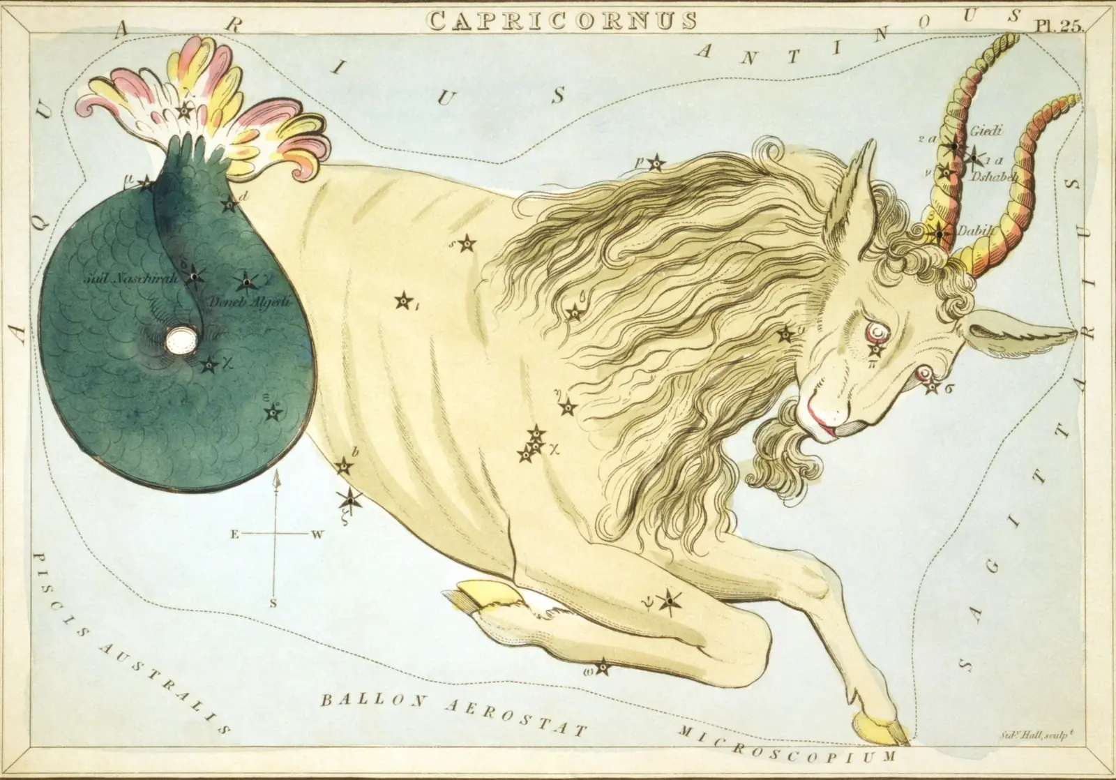 Hand-coloured 1824 star-chart card of Capricornus from Urania's Mirror, the constellation drawn as a sea-goat with its stars pierced through the card