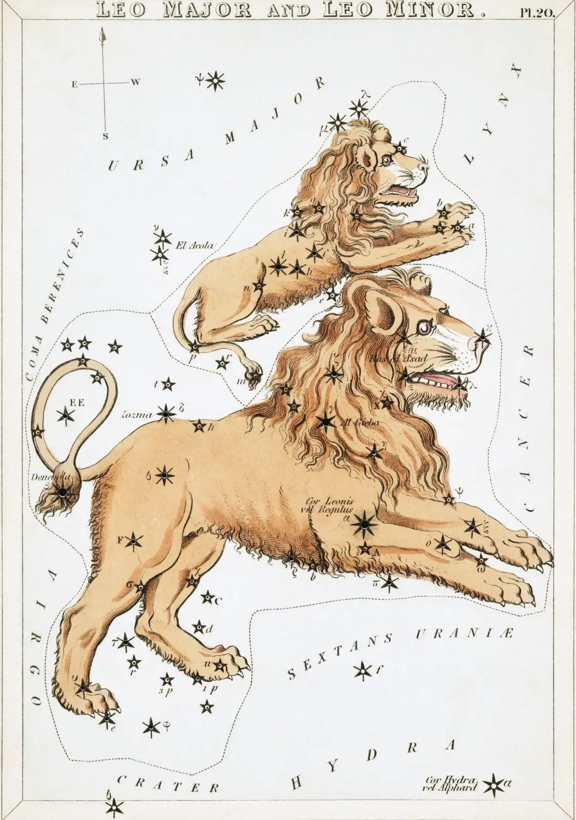 Hand-coloured 1824 star-chart card of Leo from Urania's Mirror, the constellation drawn as a striding lion with its stars pierced through the card