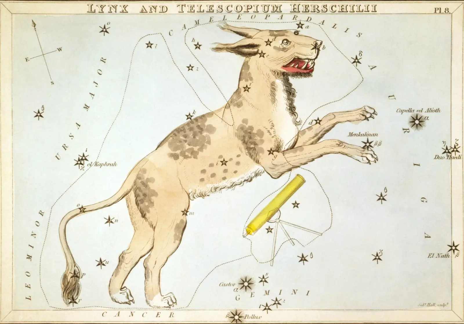 Hand-coloured 1824 star-chart card of Lynx and Telescopium Herschelii from Urania's Mirror, drawn as a lynx beside Herschel's telescope