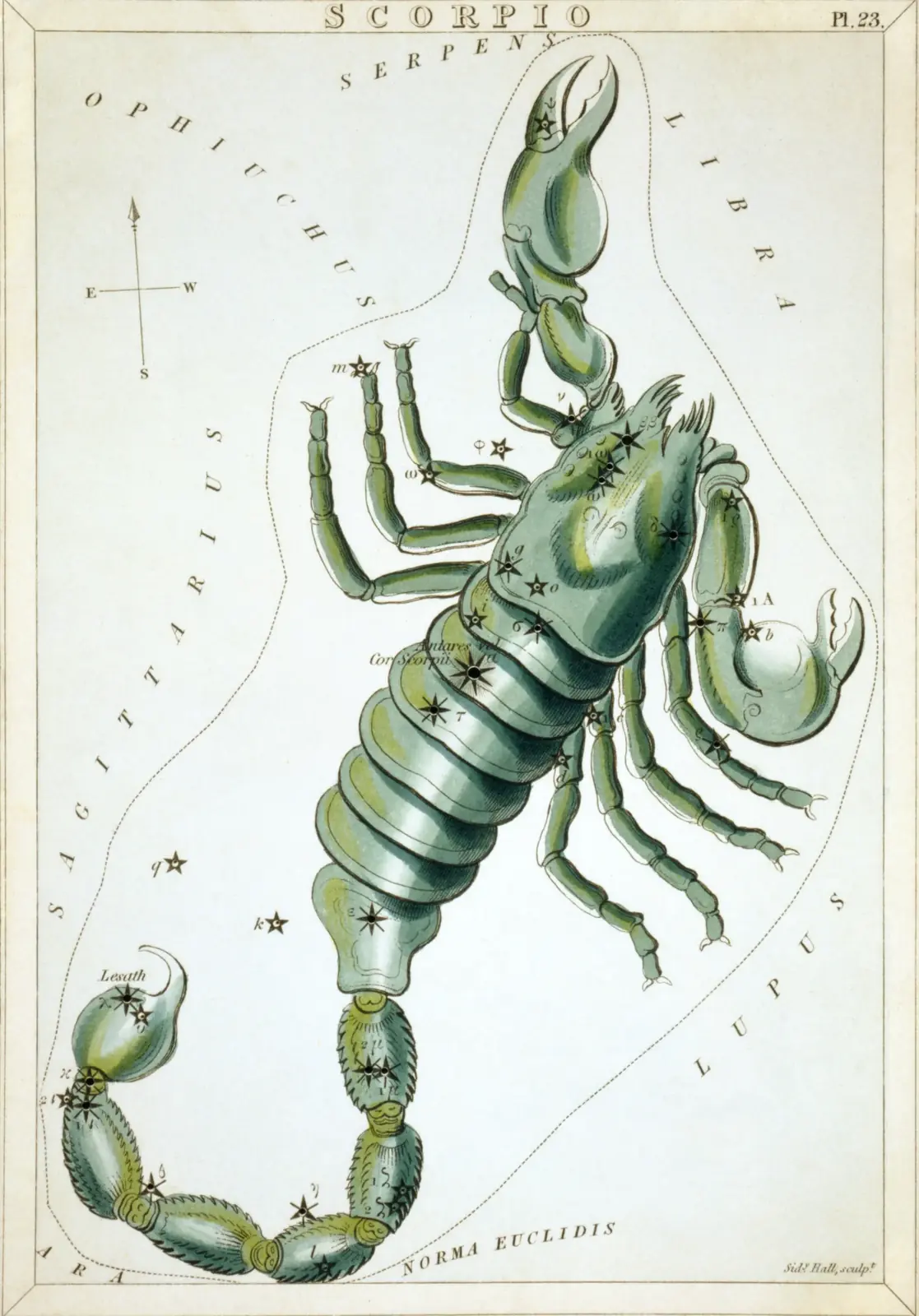 Hand-coloured 1824 star-chart card of Scorpius from Urania's Mirror, the constellation drawn as a scorpion with its stars pierced through the card
