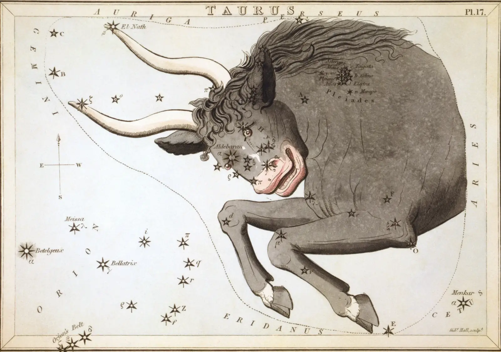 Hand-coloured 1824 star-chart card of Taurus from Urania's Mirror, the constellation drawn as the forequarters of a charging bull with its stars pierced through the card