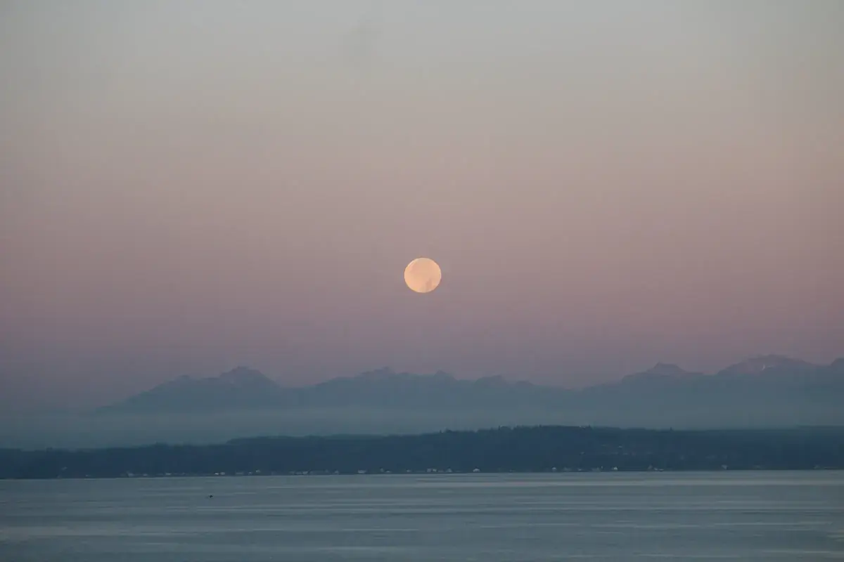 A pale Moon rising over still water in a soft pink dusk