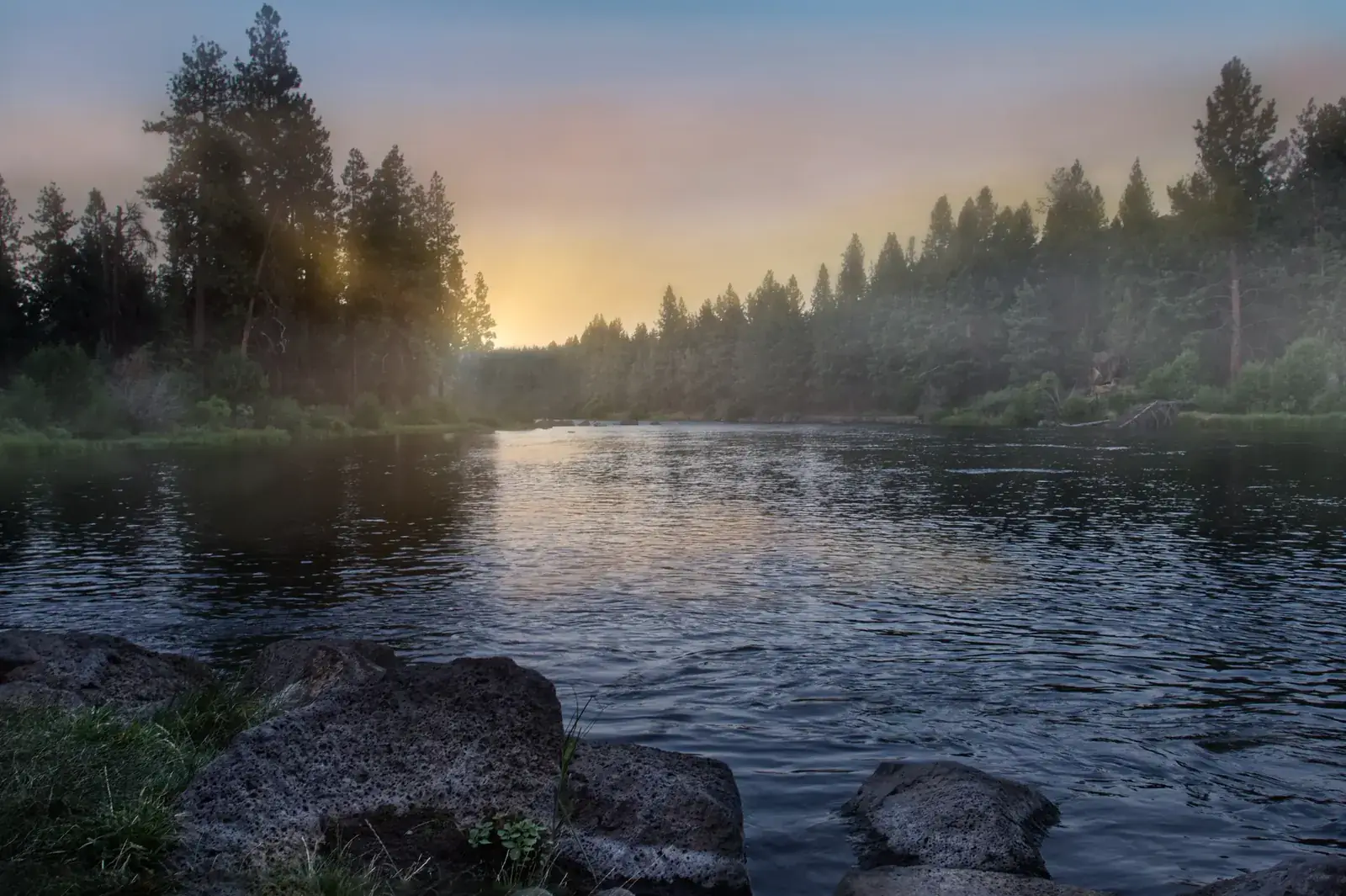 Sunbeams through pines over a misty river at sunrise