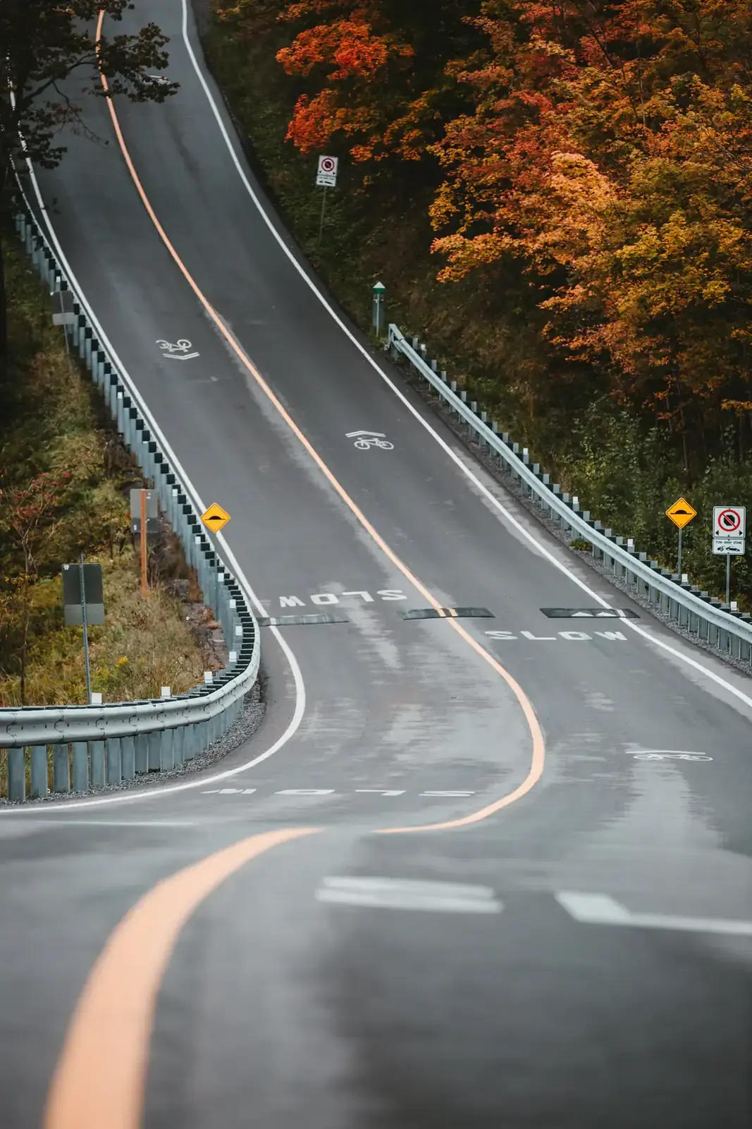 A road curves away through autumn trees on a hillside (Virgo and Sagittarius compatibility)