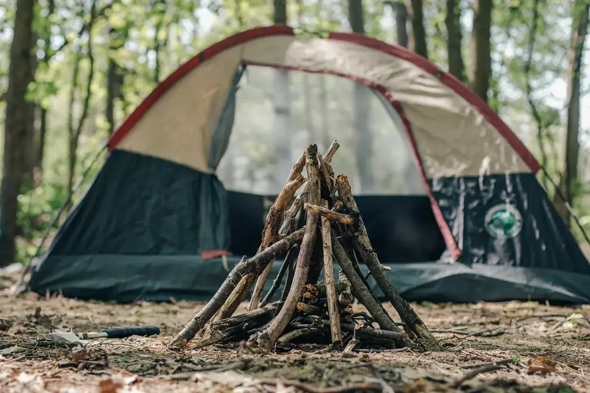 A campfire burns in front of a tent pitched in the forest (Aries and Sagittarius compatibility)