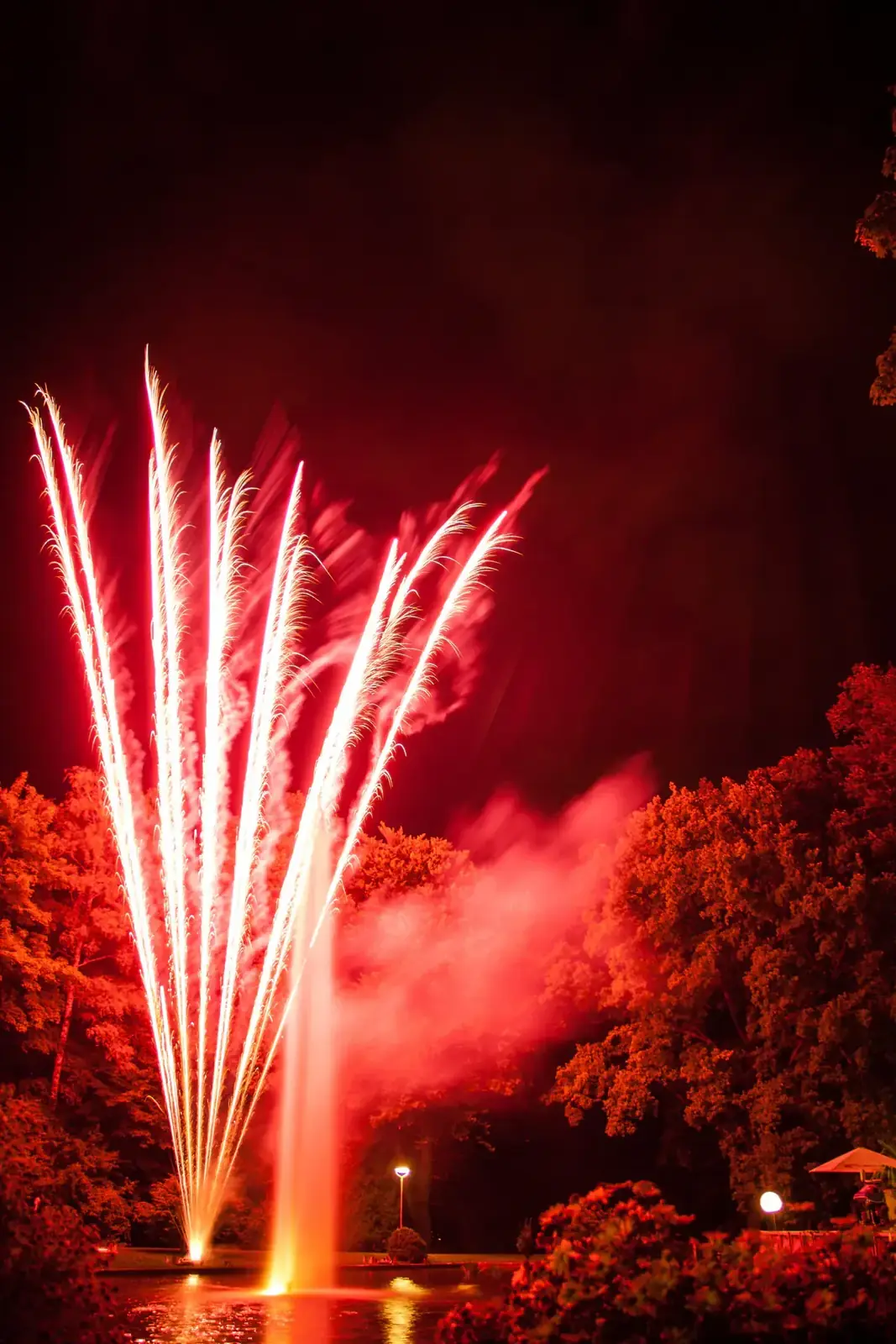 A burst of red fireworks fans out over dark trees (Leo with Leo compatibility)