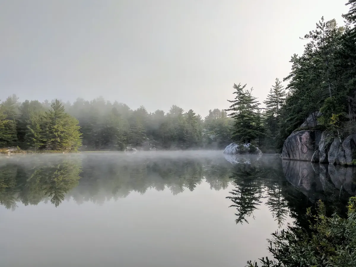 Morning mist hangs over a still lake edged with pines (Cancer and Scorpio compatibility)