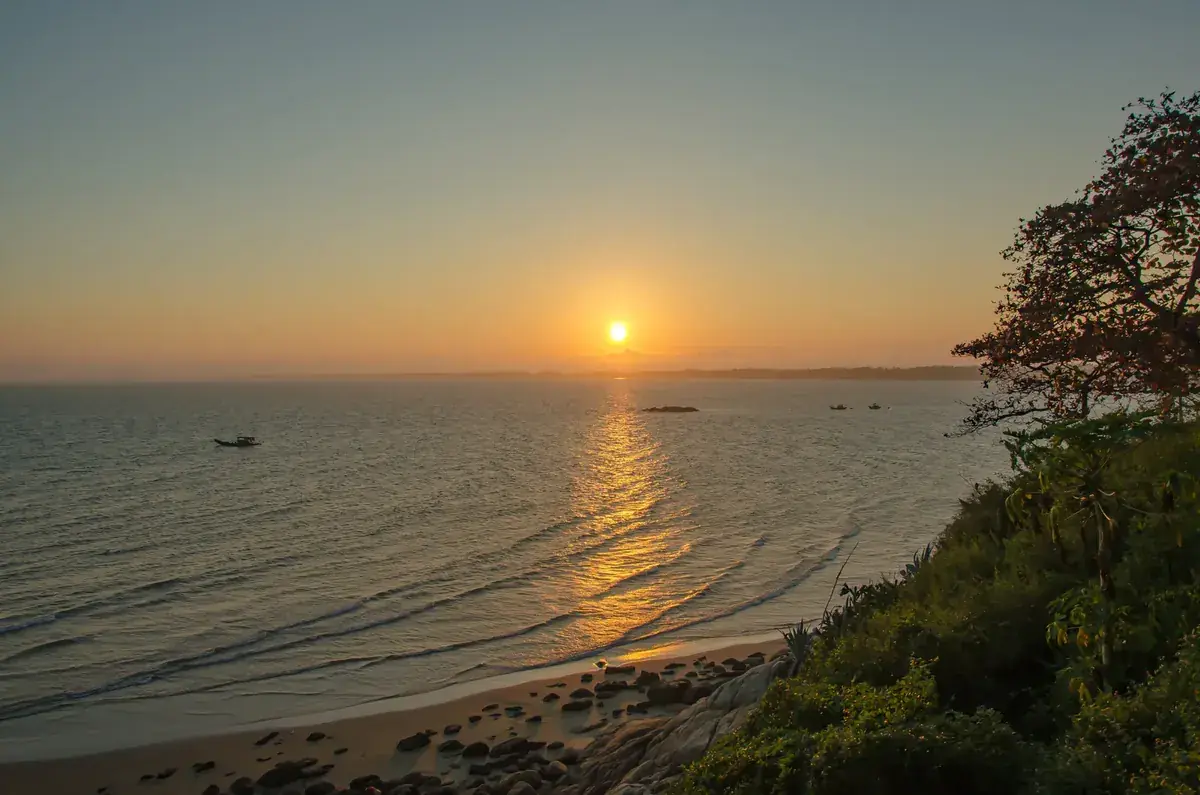 The sun sets over a quiet sea cove framed by dark trees (Cancer and Leo compatibility)