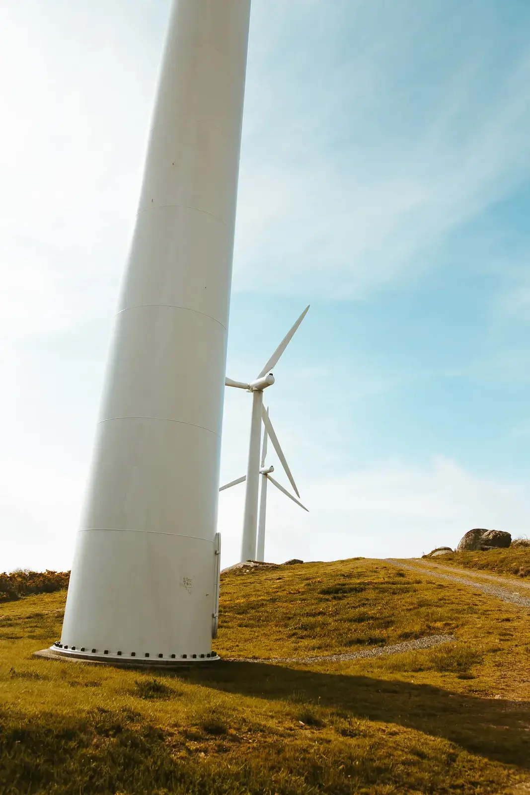 A white wind turbine rises from a golden grassy hilltop into a blue sky (Taurus and Aquarius compatibility)