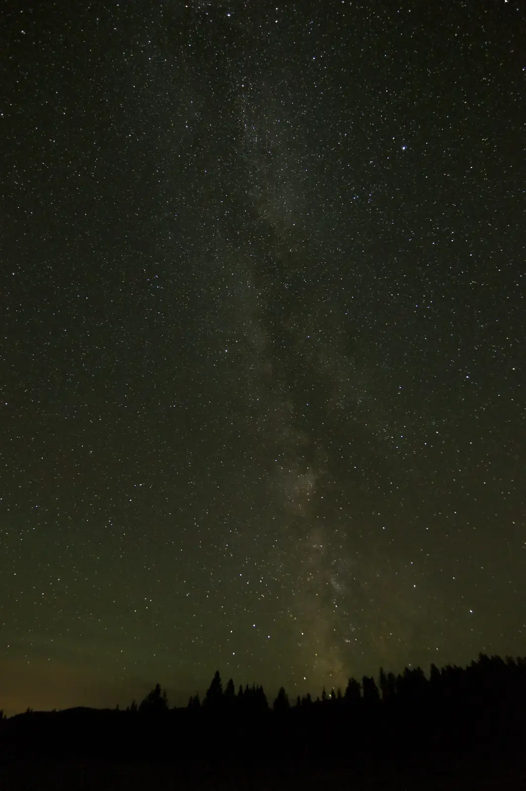 The Milky Way rising straight up from a forest edge