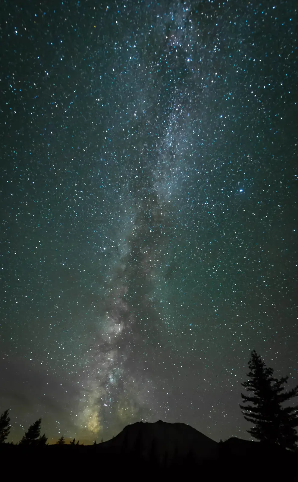 The Milky Way rising over a pine and a distant ridge