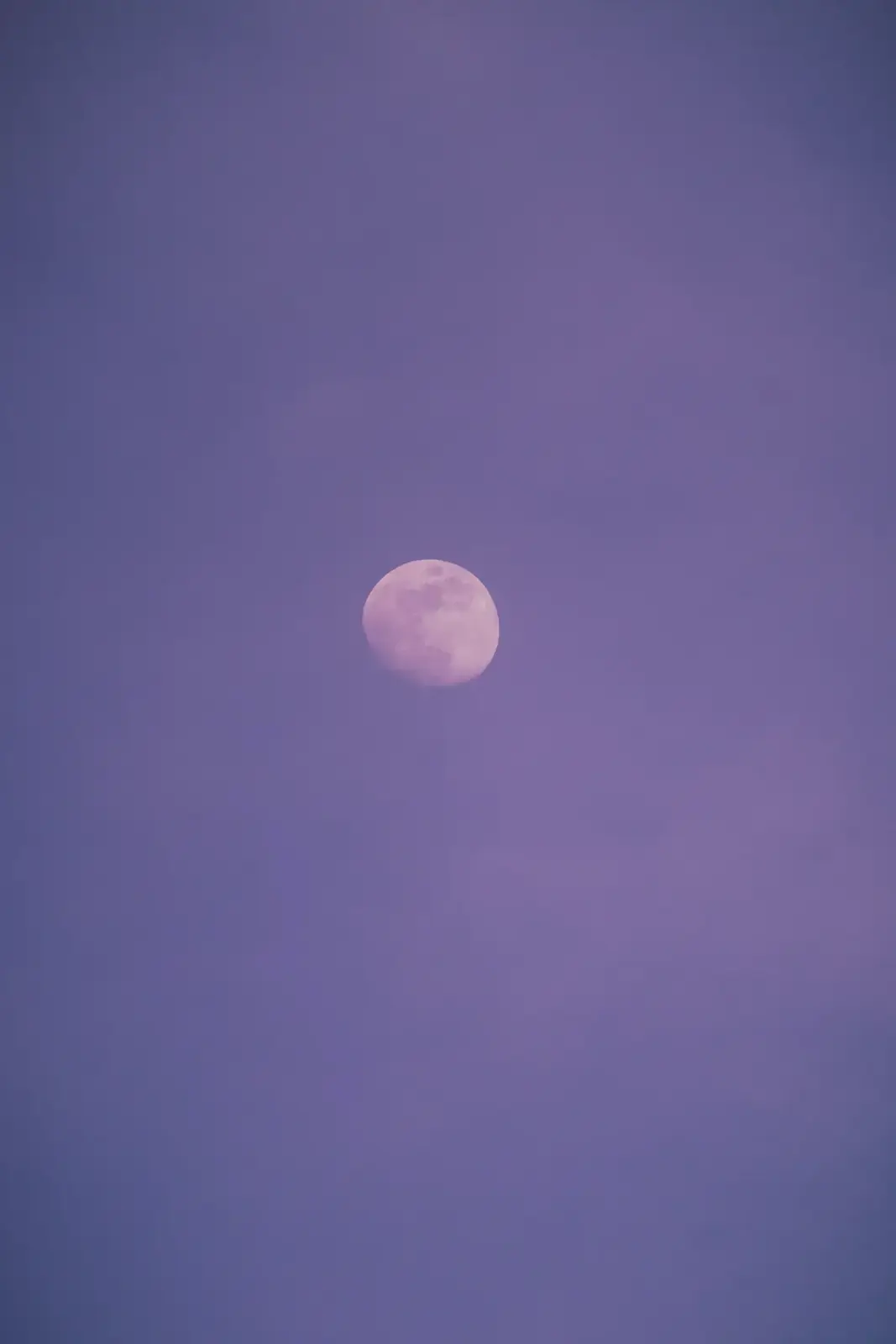 A white Moon in a purple night sky